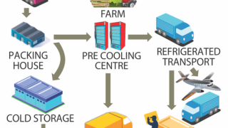 THỊ TRƯỜNG CUNG ỨNG CHUỖI LẠNH CỦA HOA KỲ: CÁC XU HƯỚNG CẦN LƯU Ý VÀ KINH NGHIỆM CÓ THỂ ÁP DỤNG