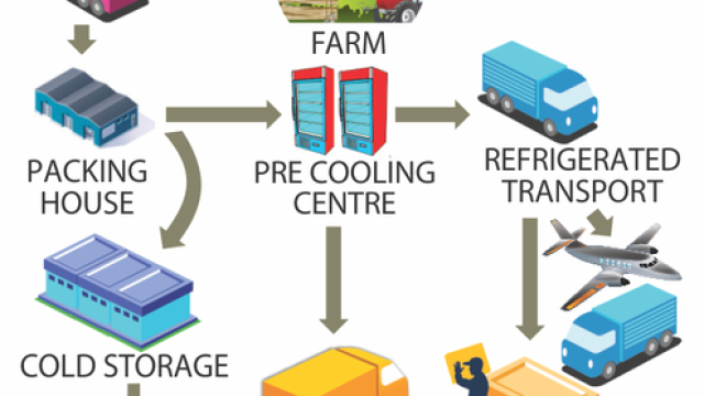 THỊ TRƯỜNG CUNG ỨNG CHUỖI LẠNH CỦA HOA KỲ: CÁC XU HƯỚNG CẦN LƯU Ý VÀ KINH NGHIỆM CÓ THỂ ÁP DỤNG