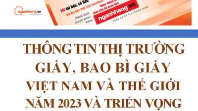 Thông tin thị trường giấy, bao bì giấy Việt Nam và thế giới năm 2023 và triển vọng