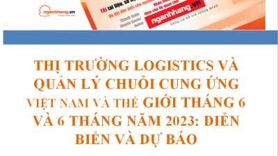 Thị trường logistics và quản lý chuỗi cung ứng Việt Nam và thế giới tháng 6 và 6 tháng năm 2023: diễn biến và dự báo