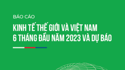 Báo cáo kinh tế thế giới và Việt Nam 6 tháng đầu năm 2023 và dự báo