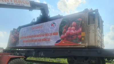 The first batch of Luc Ngan litchi shipped through Dong Dang Railway station