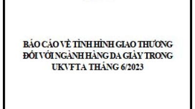 Tình hình giao thương ngành da giầy trong UKVFTA tháng 6/2023 (miễn phí)