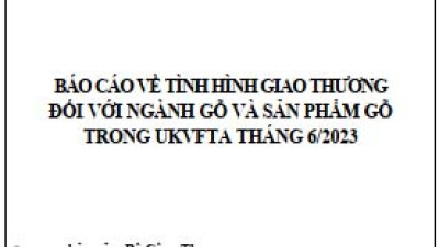 Tình hình giao thương ngành gỗ và sản phẩm gỗ trong UKVFTA tháng 6/2023 (miễn phí)