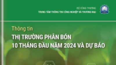 Thông tin thị trường phân bón 10 tháng năm 2024 và dự báo