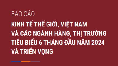 Báo cáo kinh tế thế giới, Việt Nam và các ngành hàng, thị trường tiêu biểu 6 tháng đầu năm 2024 và triển vọng