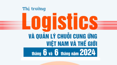 Thị trường logistics và quản lý chuỗi cung ứng Việt Nam và thế giới tháng 6 và 6 tháng năm 2024: diễn biến và dự báo