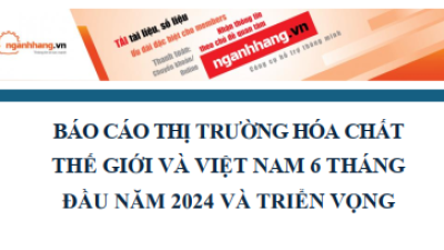 Báo cáo thị trường hóa chất thế giới và Việt Nam 6 tháng đầu năm 2024 và triển vọng