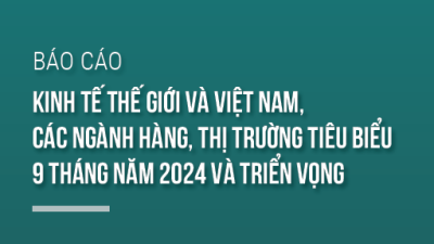 Báo cáo kinh tế thế giới và Việt Nam, các ngành hàng, thị trường tiêu biểu 9 tháng năm 2024 và triển vọng