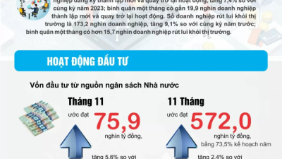 Tình hình doanh nghiệp và đầu tư tháng 11 và 11 tháng năm 2024