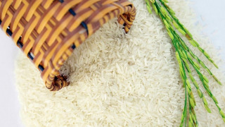 Hướng dẫn chi tiết thủ tục xin Giấy phép kinh doanh xuất khẩu gạo