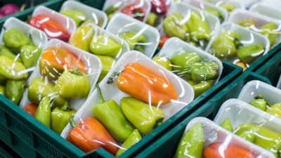 EU mở rộng trách nhiệm của nhà sản xuất đối với việc quản lý bao bì thương mại và công nghiệp