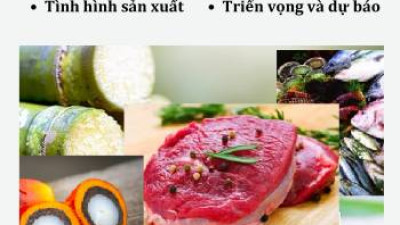 THỊ TRƯỜNG THỰC PHẨM THẾ GIỚI VÀ VIỆT NAM THÁNG 10 NĂM 2025: PHÂN TÍCH VÀ DỰ BÁO