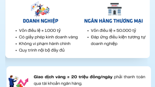(INFOGRAPHICS): Siết chặt quản lý hoạt động kinh doanh, xuất nhập khẩu vàng