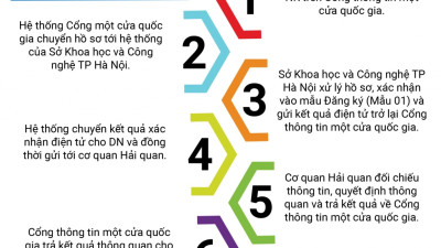 (INFOGRAPHICS): Quy trình thực hiện trực tuyến thủ tục kiểm tra chất lượng hàng hóa NK nhóm 2