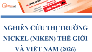 Nghiên cứu thị trường Nickel (Niken) thế giới và Việt Nam (2026)