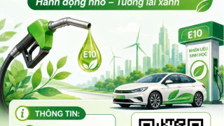 Xăng E10 bước đầu phát huy hiệu quả với môi trường