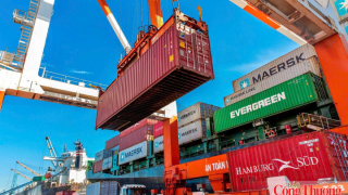 Gia Lai định hình trung tâm logistics, mở rộng cửa xuất khẩu nông sản