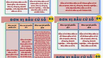 Thể lệ và nguyên tắc bỏ phiếu bầu cử đại biểu Quốc hội và Hội đồng nhân dân