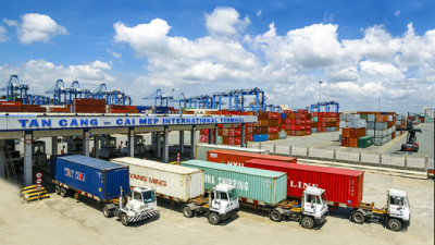 Đang xác minh nghi vấn hàng hóa bị mất khi xuất khẩu qua cảng Cát Lái