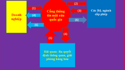 Dịch vụ công trực tuyến mức 4 đối với thủ tục xuất nhập khẩu hàng hóa