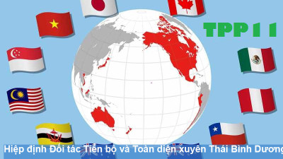 Những vấn đề đáng chú ý khi Việt Nam tham gia CPTPP