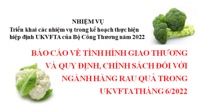 Báo cáo về tình hình giao thương và quy định, chính sách đối với ngành hàng rau quả trong UKVFTA tháng 6/2022 (miễn phí)