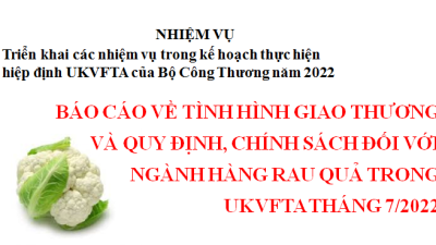 Báo cáo về tình hình giao thương và quy định, chính sách đối với ngành hàng rau quả trong UKVFTA tháng 7/2022 (Miễn phí)