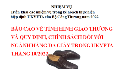 BÁO CÁO VỀ TÌNH HÌNH GIAO THƯƠNG VÀ QUY ĐỊNH, CHÍNH SÁCH ĐỐI VỚI NGÀNH HÀNG DA GIÀY TRONG UKVFTA THÁNG 10/2022 (MIỄN PHÍ)