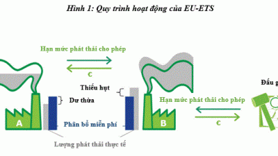 Maersk, Hapag-Lloyd thông báo trước cho các chủ hàng về phụ phí ETS của Châu Âu