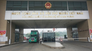 Why more than 100 Vietnamese means of transport detained in China