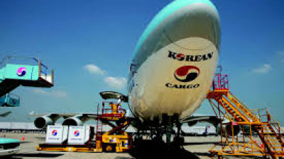 Korean Air tối ưu hóa sử dụng máy bay chở khách trên các tuyến đường để vận chuyển hàng hóa