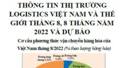 THÔNG TIN THỊ TRƯỜNG LOGISTICS VIỆT NAM VÀ THẾ GIỚI THÁNG 8, 8 THÁNG NĂM 2022 VÀ DỰ BÁO