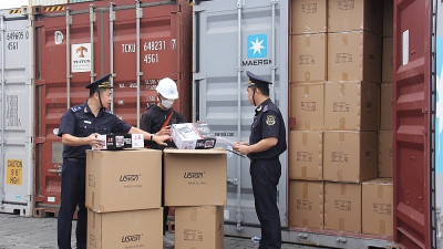 Customs modernization promotes logistics links in the Southeast region
